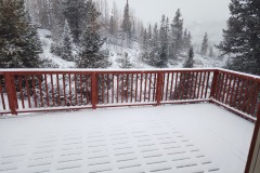 02ccbe77-a065-43ae-a942-8a69a87baca3-1-Copy