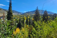 20220928_092625-1-Copy