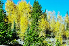 20230927_122351-1-Copy