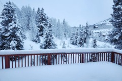 20240203_071100-1-Copy