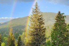 20240611_200028-1-Copy