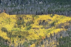 20240927_143911-1-Copy