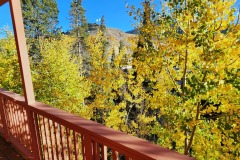 20241001_080830-1-Copy