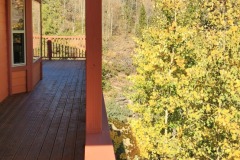 20241001_103831-1-Copy