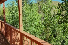 20250819_084429-1-Copy