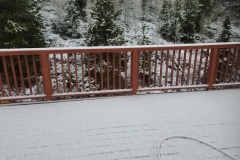 2a4e7145-75d8-4d52-99ec-d346332ebc1a-Copy