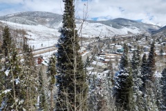 8d583697-fe57-49fe-a789-a7a303ded3cd-Copy