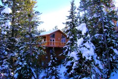 Snowy-side-thru-trees1