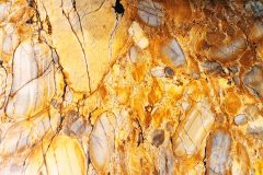 20250918_142549-1-Copy-scaled